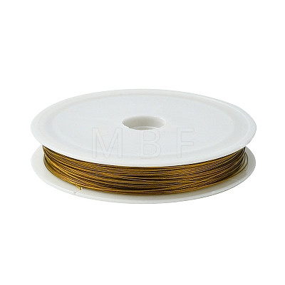 Tiger Tail Wire X-L0.38mm07-1