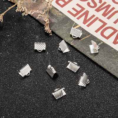 Iron Ribbon Crimp Ends E004Y-S-01-1