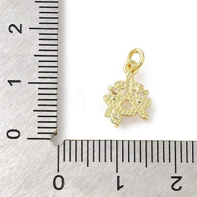 Rack Plating Brass Micro Pave Cubic Zirconia Charms KK-S396-46G-1