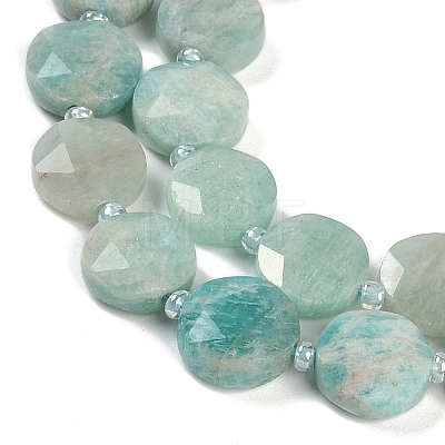 Natural Amazonite Beads Strands G-C116-A23-01A-1