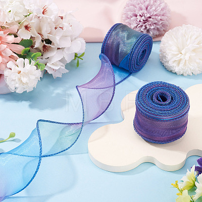 2 Rolls Polyester Mesh Ribbons SRIB-TA0003-42A-1