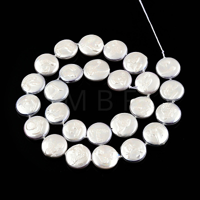 Plating Natural Freshwater Shell Beads Strands SHEL-N026-225B-1