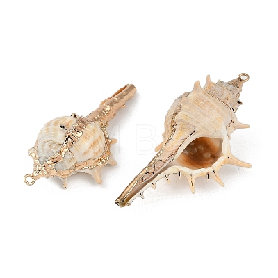 Natural Shell Pendants SHEL-K009-01E-1