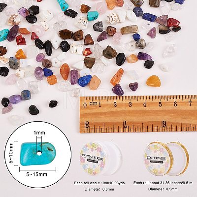 300g Gemstone Chip Beads DIY-SZ0004-24-1