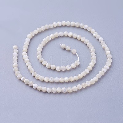 Natural Shell Beads Strands X-G-F619-27-3mm-1