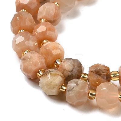Natural Sunstone Beads Strands G-P508-A21-01-1