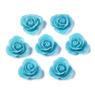 Resin Cabochons CRES-B3434-A129-1