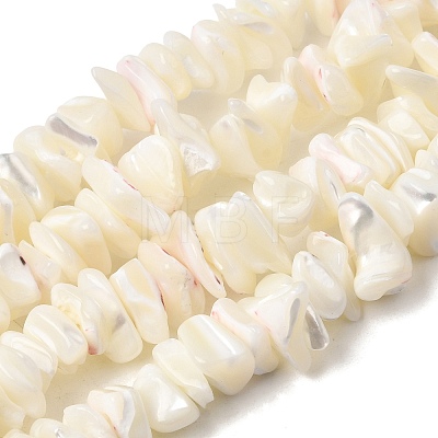 Natural White Mother of Pearl Shell Chip Bead Strands X-G-M205-63-1
