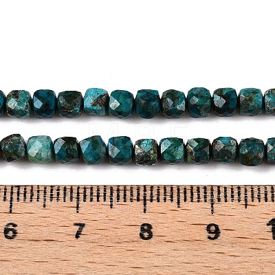 Natural Chrysocolla Beads Strands G-N342-117-1