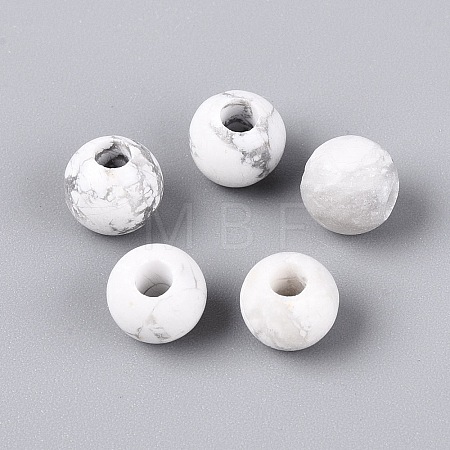 Natural Howlite Beads G-Q602-08A-07-1
