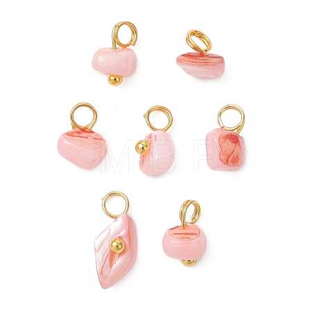 Dyed Natural Freshwater Shell Nuggets Charms PALLOY-JF05032-02-1