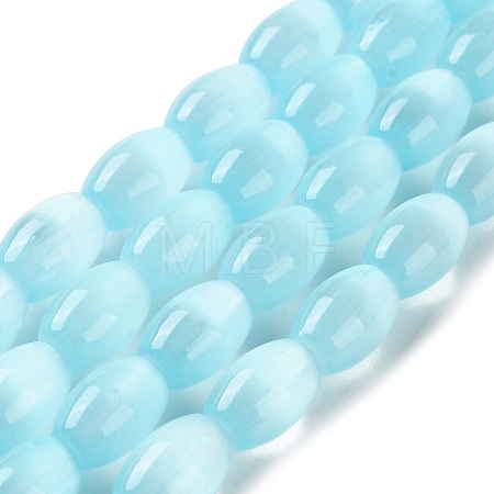 Macaron Color Natural Selenite Beads Strands G-B102-A01-06-1