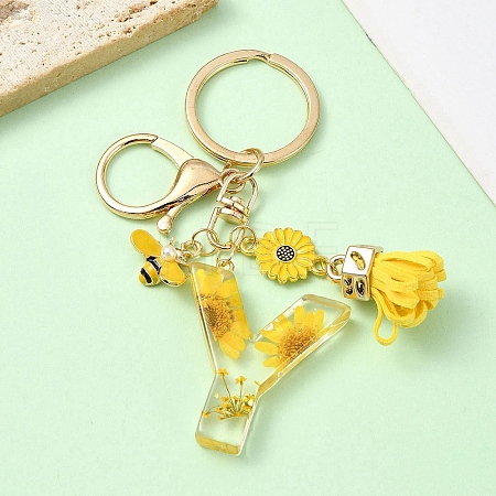 Resin & Alloy Enamel Keychain X1-KEYC-YW00134-25-1