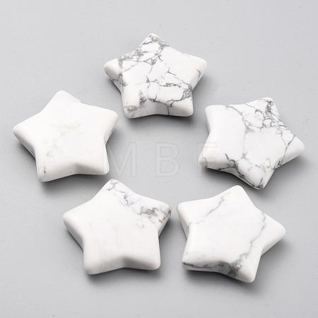 Natural Howlite Beads G-O196-07A-1