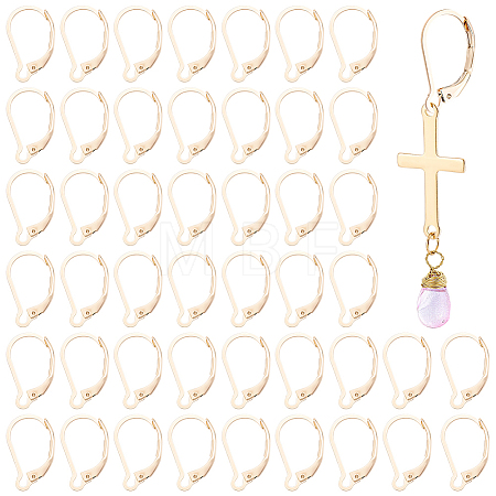 50Pcs 304 Stainless Steel Leverback Earring Findings STAS-BBC0011-11-1