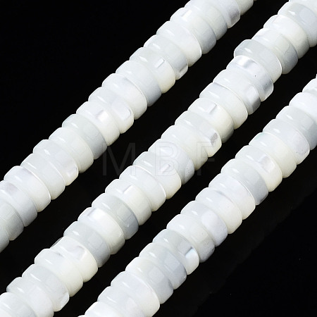 Natural Trochid Shell/Trochus Shell Beads Strands SSHEL-S266-019A-02-1