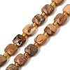 Natural Picture Jasper Beads Strands GG-CBA96AE-A02-6x6mm-2