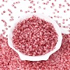 Frosted Glass Seed Beads SEED-N012-01J-2
