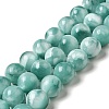 Natural Glass Beads Strands G-I247-31G-1