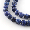Dyed Natural Sesame Jasper Round Beads Strands G-R342-6mm-12-2
