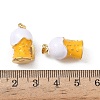 Brass Enamel Pendants KK-F924-09G-02-3