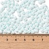 6/0 Glass Seed Beads SEED-M012-01A-13-4