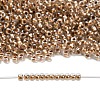 TOHO 3/0 Round Beads X-SEED-TR03-0989-4