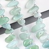 Natural Glass Beads Strands G-Z091-A26-1