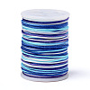 Segment Dyed Polyester Thread NWIR-I013-A-01-1