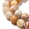 Natural Crazy Agate Beads Strands G-H298-A12-03-4