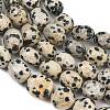 Natural Dalmatian Jasper Beads Strands GG-CBA787B-A11-3