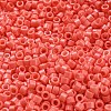 Baking Paint Glass Seed Beads SEED-S042-05A-31-3