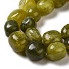 Natural Chinese Jade Beads Strands G-A247-08-4
