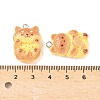 Cute Resin Pendants RESI-V005-005-4