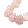 Natural Rose Quartz Beads Strands G-R421-17-1