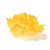 Transparent Resin Cabochons LS-RESI-G027-01C-4