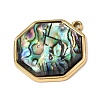 304 Stainless Steel & Natural Paua Shell Pendants SH-CBA7184-01D-G-2