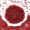 Baking Paint Electroplate Transparent Glass Seed Beads SEED-N006-07H-2