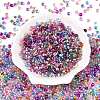 6/0 Baking Paint Transparent Glass Seed Beads SEED-N006-06-2