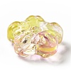 Transparent Glass Beads GLAA-F116-02C-4