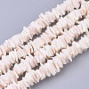 Natural Pink Shell Bead Strands SSHEL-N034-20-2