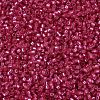MIYUKI Delica Beads SEED-MY11-DB2154-3