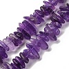 Natural Amethyst Beads Strands G-K220-04-01-1