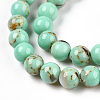 Assembled Synthetic Turquoise and Shell Beads Strands G-S212-4mm-04-3