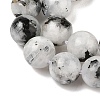 Natural Rainbow Moonstone Beads Strands G-Q1001-A05-03-01-4