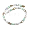 Electroplate Glass Beads Strands EGLA-P065-01A-09-2