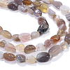 Natural Botswana Agate Beads Strands X-G-P433-20-4