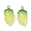 Transparent Resin Fruit Pendants CRES-Z003-02-3