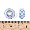 Lampwork & Brass Core European Beads LAMP-P019-01P-03-3