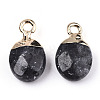 Natural Larvikite Charms X-G-N326-58A-3